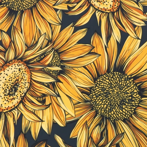 Upholstery velvet - Sunflowers on black - 50 cm x 140 cm